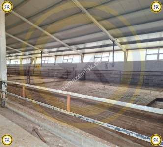 Kulu Bahadırlı Mahallesinde Satılık Çiftlik 452.149 M2 12