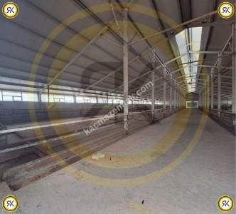 Kulu Bahadırlı Mahallesinde Satılık Çiftlik 452.149 M2 7