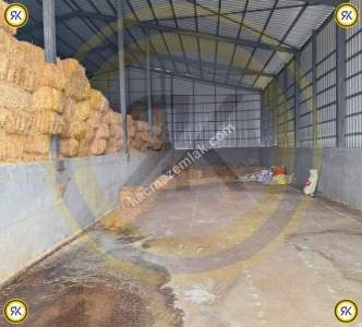 Kulu Bahadırlı Mahallesinde Satılık Çiftlik 452.149 M2 5