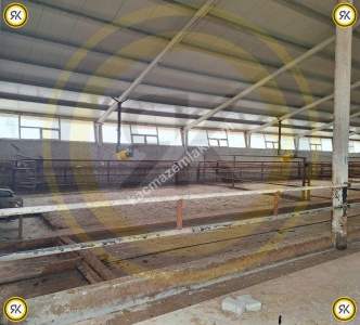 Kulu Bahadırlı Mahallesinde Satılık Çiftlik 452.149 M2 8