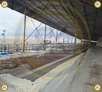 Kulu Bahadırlı Mahallesinde Satılık Çiftlik 452.149 M2 10