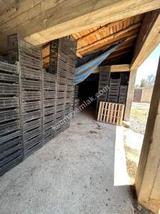 Niğde Bor Acıgölde 10 Dönüm Yatırımlık Satılık Çiftlik 2