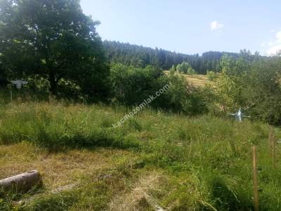 Artvin Şavşat Düzenli Köyünde Satılık Konut İmar Arsa 4