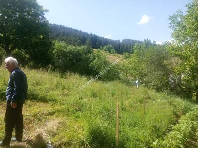 Artvin Şavşat Düzenli Köyünde Satılık Konut İmar Arsa 14