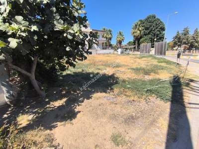 Dallıcada Satılık Fırsat Arsa 4