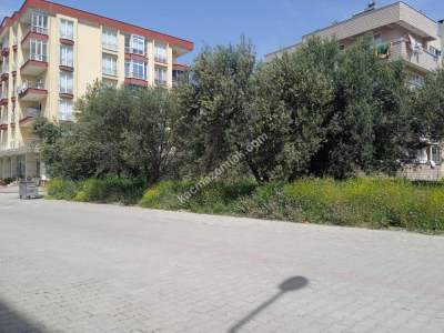 Edremitte İmara Açık 500 M2 Satılık Arsa 6