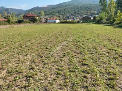 Osmaneli Soğucakpınar'da 2826 M2 %40 İmarlı Arsa 2