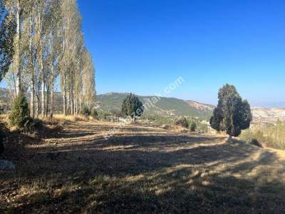 Burdur Merkez Kökez Köyü İmarlı Satılık Arsa 4