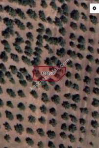 Çandarlıda Merkezi Konumda Satılık Konut İmarlı Arsa