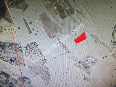 Develi Çomaklı Mevki Arsa 2