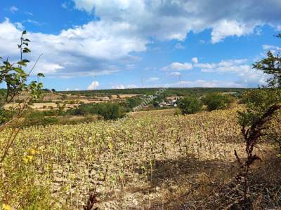 Kırklareli Vize Evrencik Köyünde Satılık Arsa 6