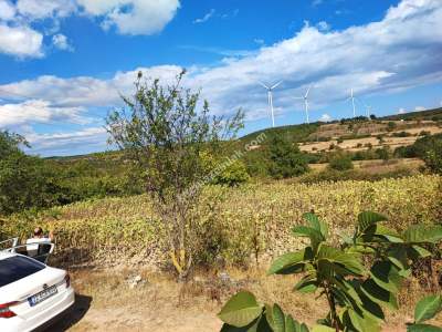 Kırklareli Vize Evrencik Köyünde Satılık Arsa 7