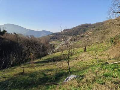 Yuvacık Barajı Yakınında Yatırımlık Arsa 2