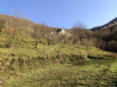 Yuvacık Barajı Yakınında Yatırımlık Arsa 5