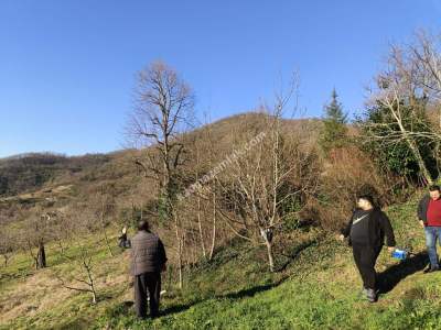 Yuvacık Barajı Yakınında Yatırımlık Arsa 6