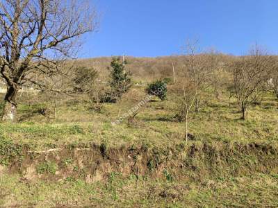 Yuvacık Barajı Yakınında Yatırımlık Arsa 8