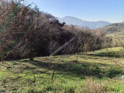 Yuvacık Barajı Yakınında Yatırımlık Arsa 4