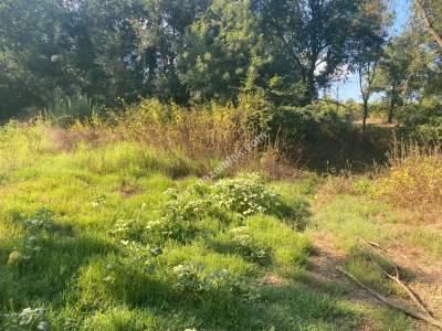 Kocaeli Kandıra Satılık Arsa 7