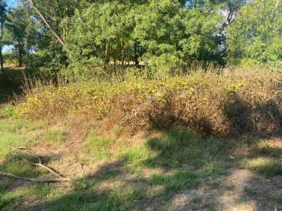 Kocaeli Kandıra Satılık Arsa 3