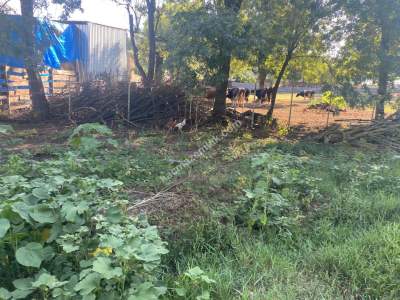 Kocaeli Kandıra Satılık Arsa 6