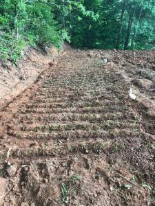 Kocaelı Kartepede Satılık Arsa 7