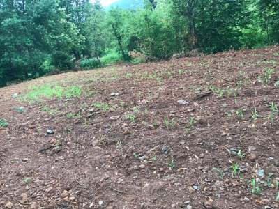 Kocaelı Kartepede Satılık Arsa 4