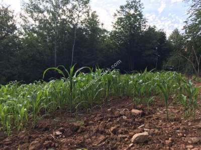 Kocaelı Kartepede Satılık Arsa 2