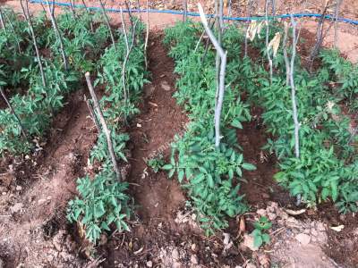 Kocaelı Kartepede Satılık Arsa 5