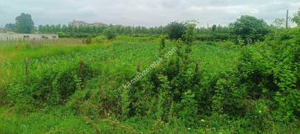 Çarşambada Satılık Arsa 4