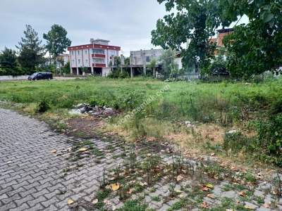 Çarşamba'da Satılık Arsa 6