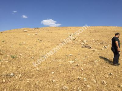 Siirt Yeni Hastane Civarı İmarlı Arsa, Takas Düşünülür 3