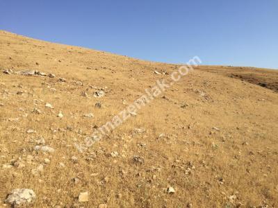Siirt Yeni Hastane Civarı İmarlı Arsa, Takas Düşünülür 7