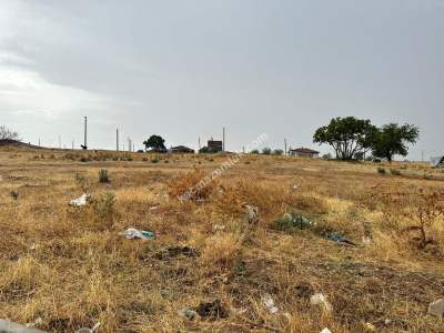 Hayrabolu Tek Yetkili 4 Adet Satılık Konut İmarlı Arsa 8