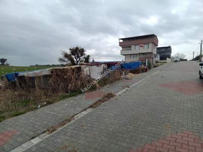 Tekirdağ Şarköy Camiikebir Mah. Satılık Konut Arsası 2