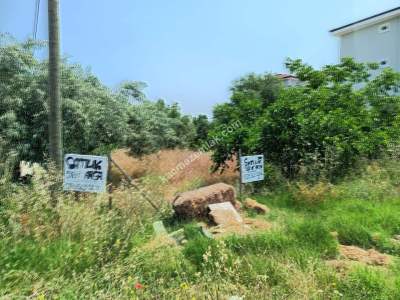 Tekirdağ Şarköy Camiikebir Mahalllesi Satılık Arsalar 1