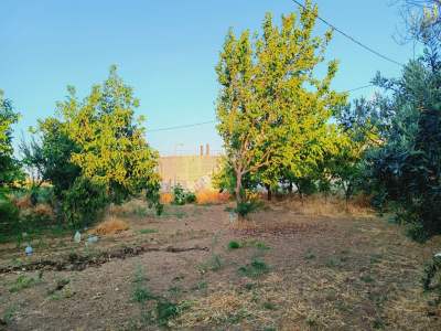 Tekirdağ Şarköy Camiikebir Mah. Satılık Konut Arsası 3