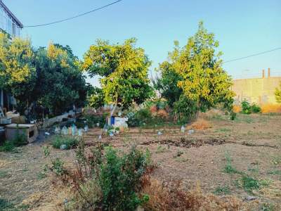 Tekirdağ Şarköy Camiikebir Mah. Satılık Konut Arsası 5