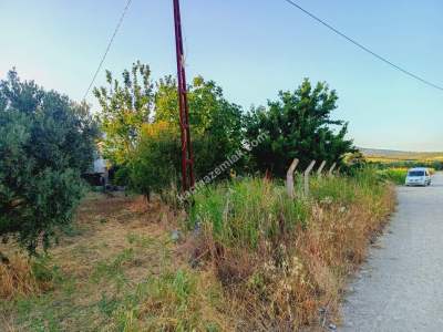 Tekirdağ Şarköy Camiikebir Mah. Satılık Konut Arsası 8