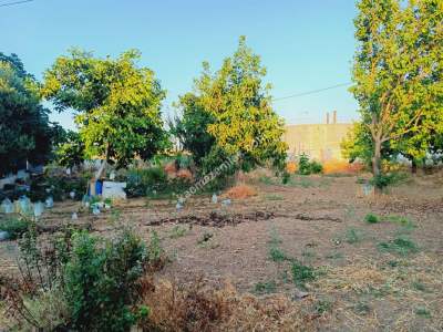 Tekirdağ Şarköy Camiikebir Mah. Satılık Konut Arsası 4