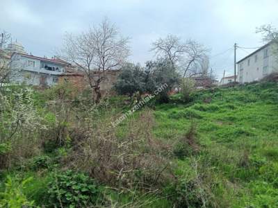 Tekirdağ Şarköy Çınarlı Mahallesi Satılık 3