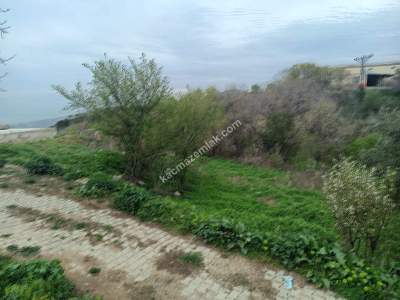 Tekirdağ Şarköy Çınarlı Mahallesi Satılık 2