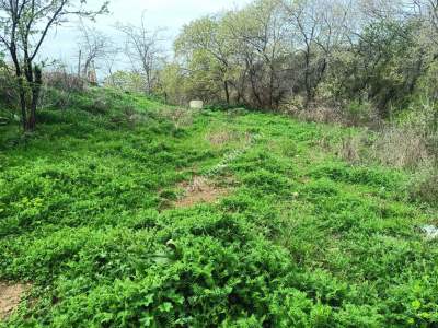 Tekirdağ Şarköy Çınarlı Mahallesi Satılık 4
