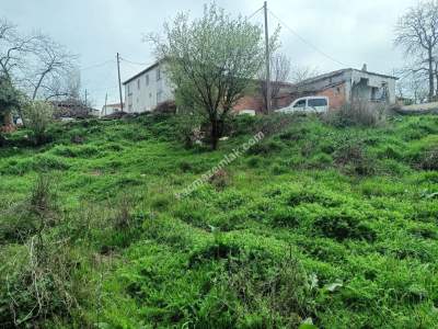 Tekirdağ Şarköy Çınarlı Mahallesi Satılık 6