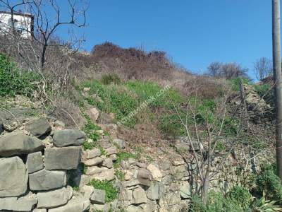 Tekirdağ Şarköy Gaziköyde Satılık Arsa 4