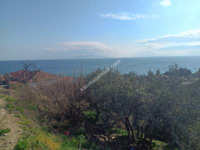 Tekirdağ Şarköy Gaziköyde Satılık Arsa 1