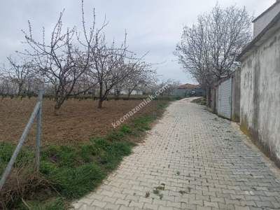 Tekirdağ Şarköy Kirazlı Mahallesi Satılık Konut Arsası 2