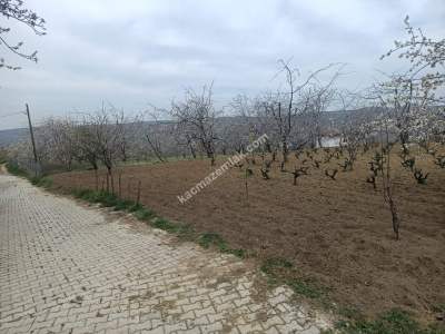 Tekirdağ Şarköy Kirazlı Mahallesi Satılık Konut Arsası 5