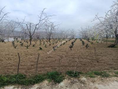 Tekirdağ Şarköy Kirazlı Mahallesi Satılık Konut Arsası 4