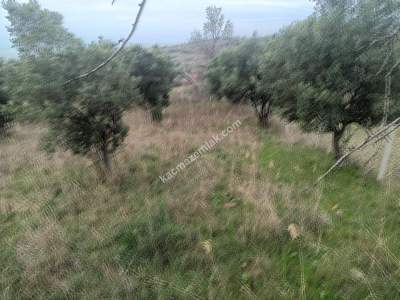 Tekirdağ Şarköy Kirazlı Mahallesi Satılık Konut Arsası 5