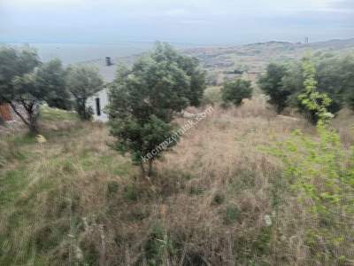 Tekirdağ Şarköy Kirazlı Mahallesi Satılık Konut Arsası 6